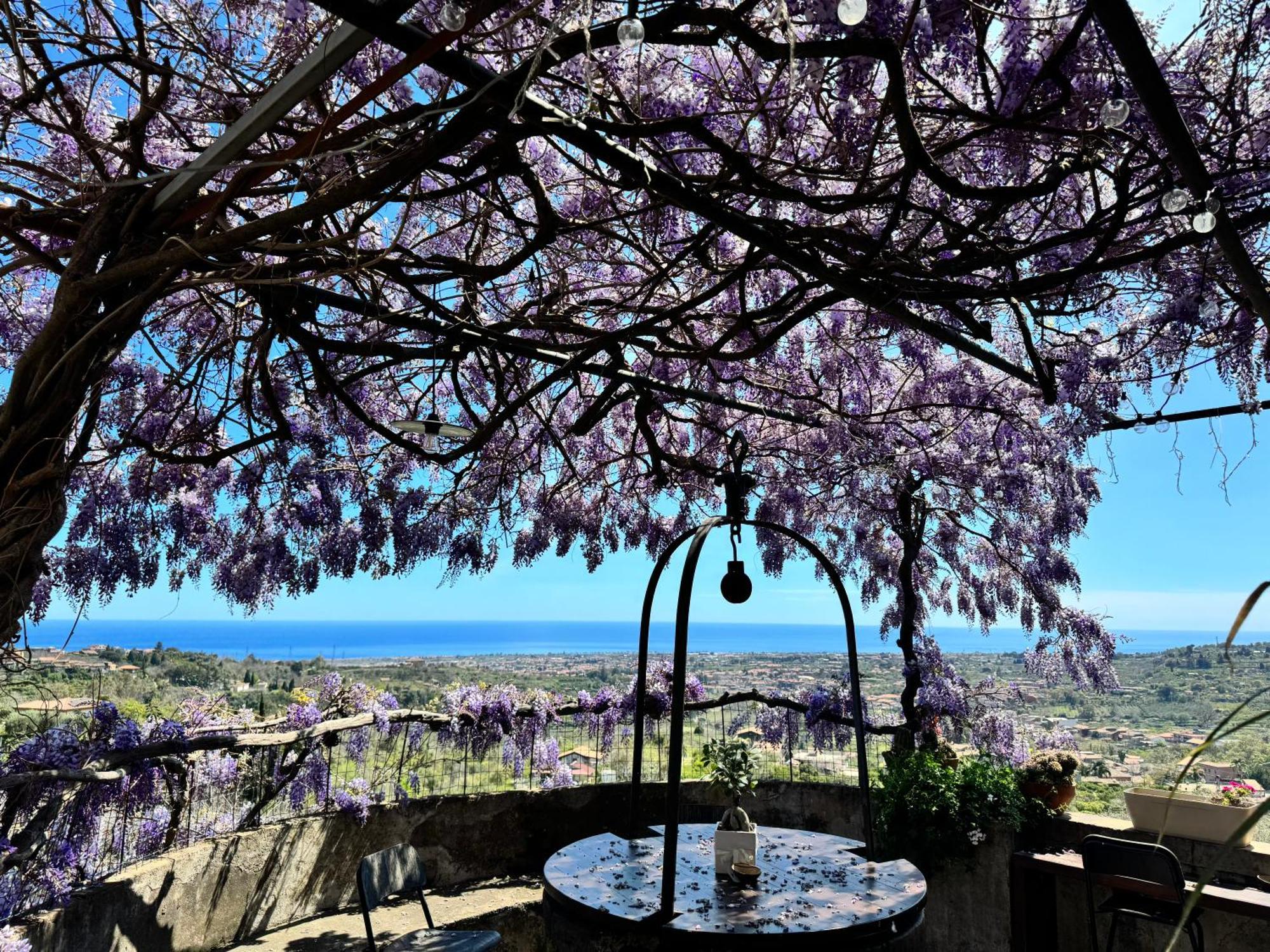 加里Il Noceto Dell'Etna住宿加早餐旅馆 外观 照片